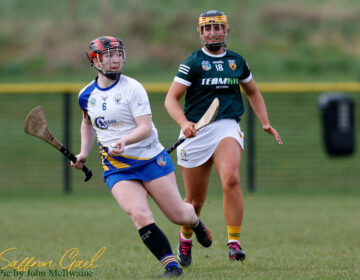 Very National Camogie league Division 3B