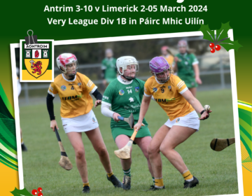 Antrim Camogie v Limerick 13