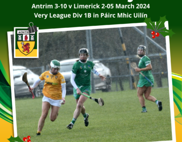 Antrim Camogie v Limerick 24