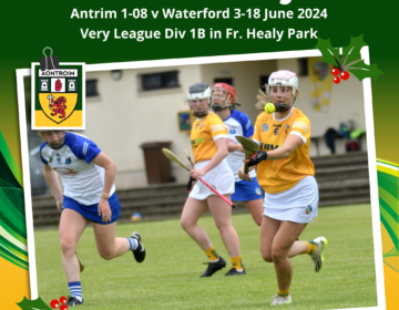 Antrim Camogie v Waterford 17