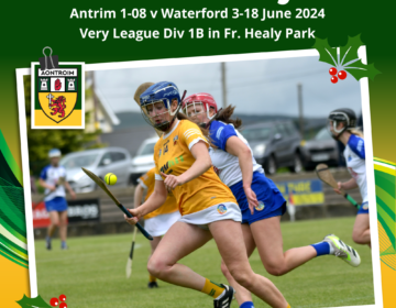 Antrim Camogie v Waterford 19