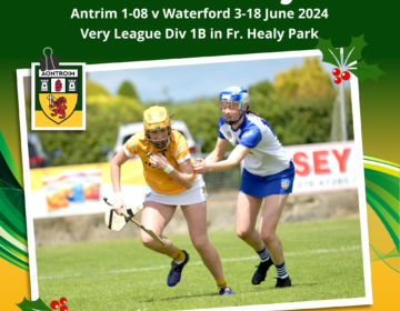 Antrim Camogie v Waterford 23